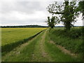 SE3079 : Arable fields divided by hedge and track by Peter Wood