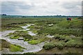 Althorne : along the Saltmarsh Coastal Path