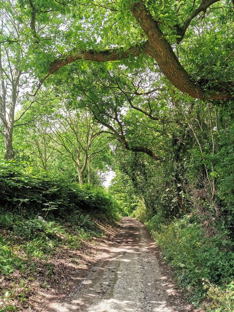 Path near East Chiltington known locally as Ferrings
