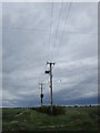 Wires crossing, Swaton Fen