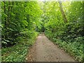 Footpath leading to East Chiltington