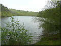 Cwm Lliedi Reservoir