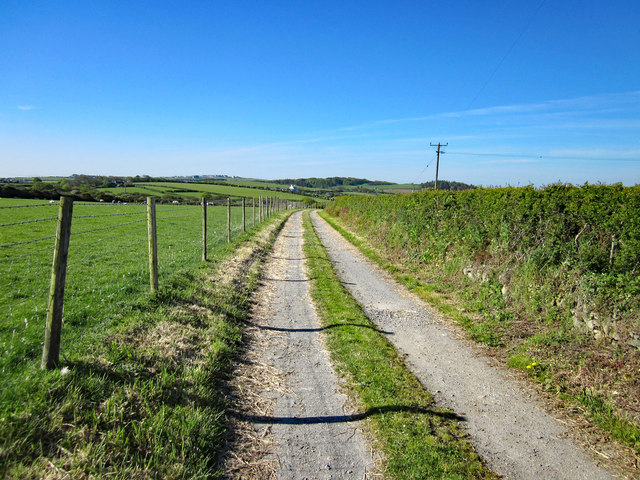 Track at Maes Gwelfor near Rhydwyn