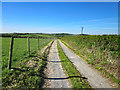 Track at Maes Gwelfor near Rhydwyn