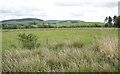 Looking east from Moffat & District Community Nature Reserve