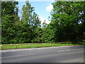 Goudhurst railway station (site), Kent