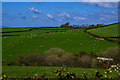 North Devon : Countryside Scenery