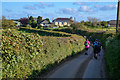 SS5722 : North Devon : Country Lane by Lewis Clarke