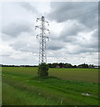 Pylon beside crop field near the River Dee