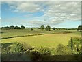 TL0236 : Fields near Ampthill by Andrew Abbott
