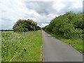 SJ3469 : National Cycle Route 5 towards Chester by JThomas