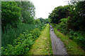 Leeds & Liverpool Canal