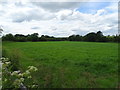 Grassland off Hermitage Road