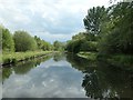 Looking south on the Erewash Canal, Cotmanhay