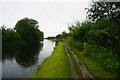 SJ3699 : Leeds & Liverpool Canal by Ian S