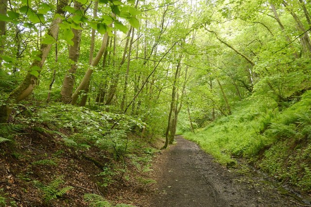 Symington, Biggar and Broughton Railway... © Richard Webb :: Geograph ...