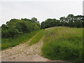 Track leading up old railway embankment