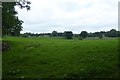 Farmland north of Skirethorns