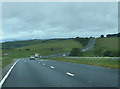 A35 end of dual carriageway, approaching Chalkpit Lane