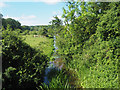 Looking along River Wissey