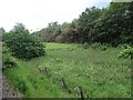 View from a Telford-Ironbridge train - field next to track