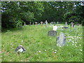 St Saviour, Valley End: churchyard (ii)