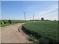 Access  road  from  High  Metham  along  Celery  Bank