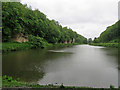 SK5374 : Creswell Crags: gorge and lake by John Sutton