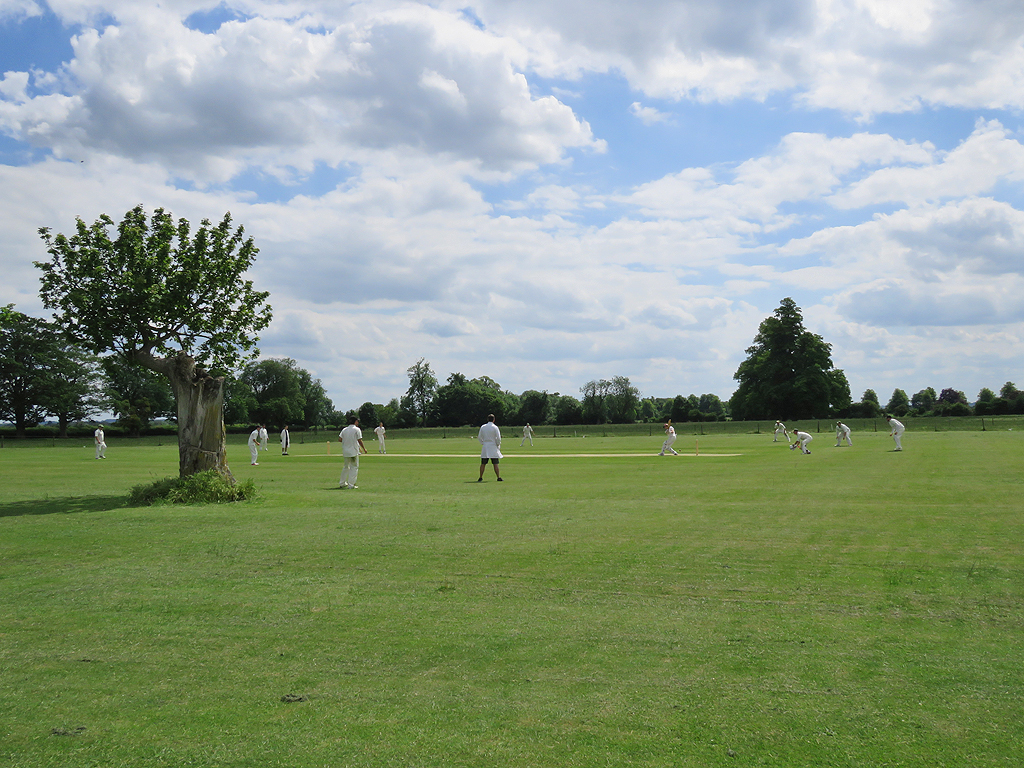 Newton Cricket Ground: a tree on the... © John Sutton :: Geograph ...