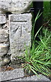 NY6665 : Benchmark on outbuilding at Glenwhelt by Roger Templeman