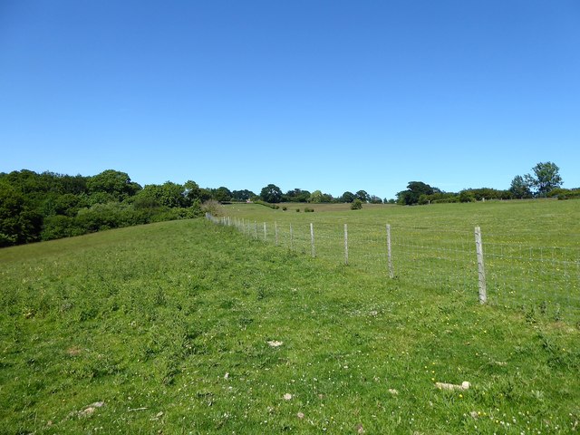 Barn Field