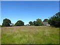 Barn Field