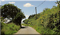 Lane west from Youldonmoor Cross