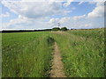 Footpath from Drove Lane to Holdingham