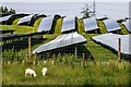 Solar Farm