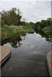 TL7572 : River Lark, Cavenham Heath by Hugh Venables