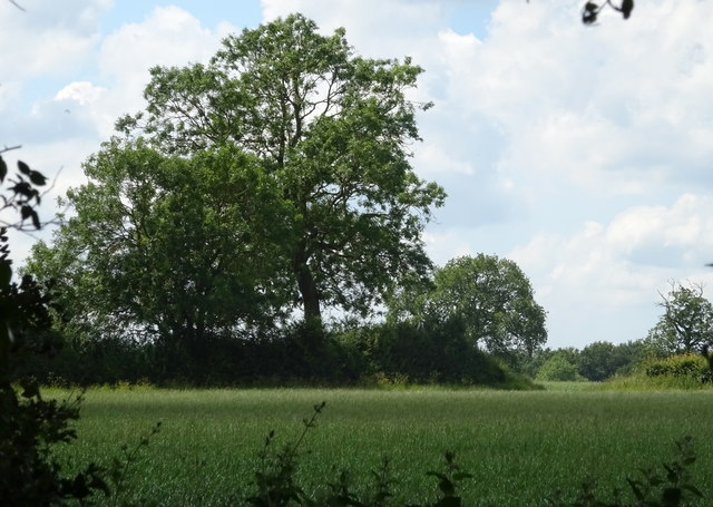 Farmland and trees, Ditchford Bank © JThomas :: Geograph Britain and ...