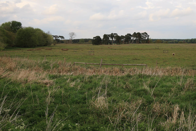 Icklingham Plains © Hugh Venables cc-by-sa/2.0 :: Geograph Britain and ...