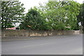 Stone wall on east side of Track Road