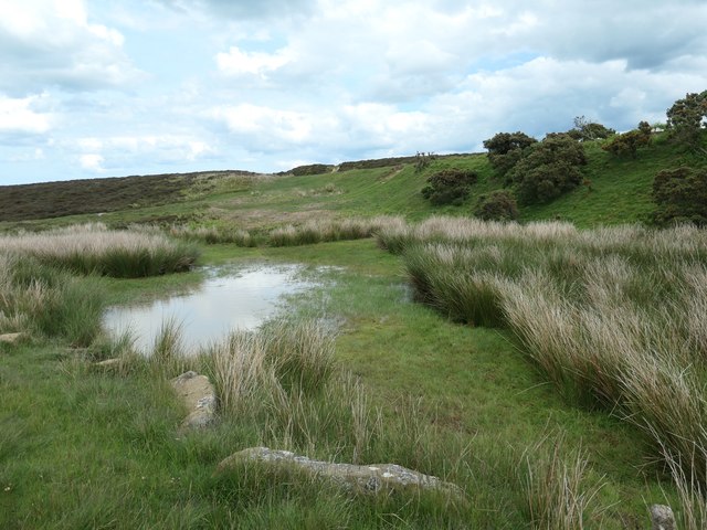 Moorland pond and former tramway embankment
