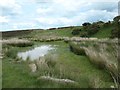 NZ7605 : Moorland pond and former tramway embankment by Christine Johnstone