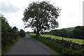 Road near Arncliffe