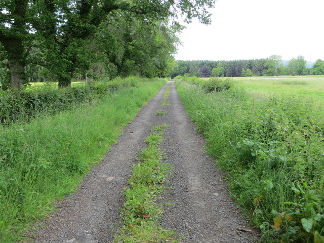 Track between field and Murie Wood © Peter Wood cc-by-sa/2.0 :: Geograph and Ireland