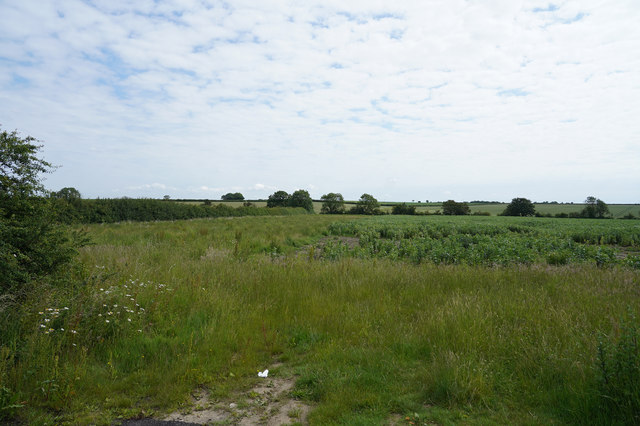 Fields near Knapwell