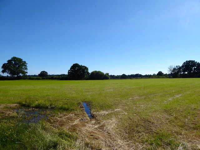 Upper Barn Field