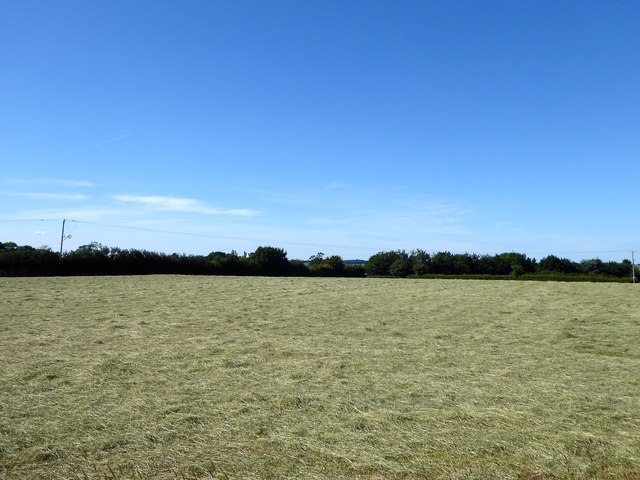 Burntoak Barn Field