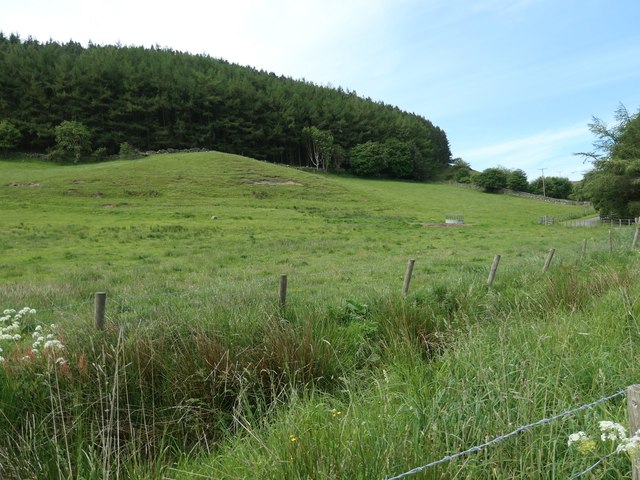 The north-west corner of Wintergill Plantation