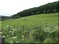 Fields below Wintergill Plantation, Glaisdale