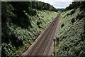 Railway Line Near Shere