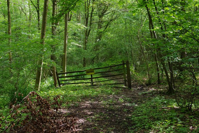 Gate across track in North Wood (part of Ockeridge Wood), near Wichenford, Worcs